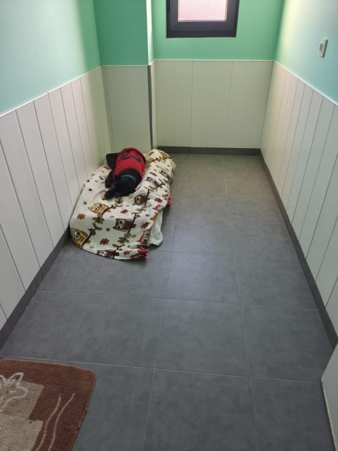 Hotel para mascotas en Brión