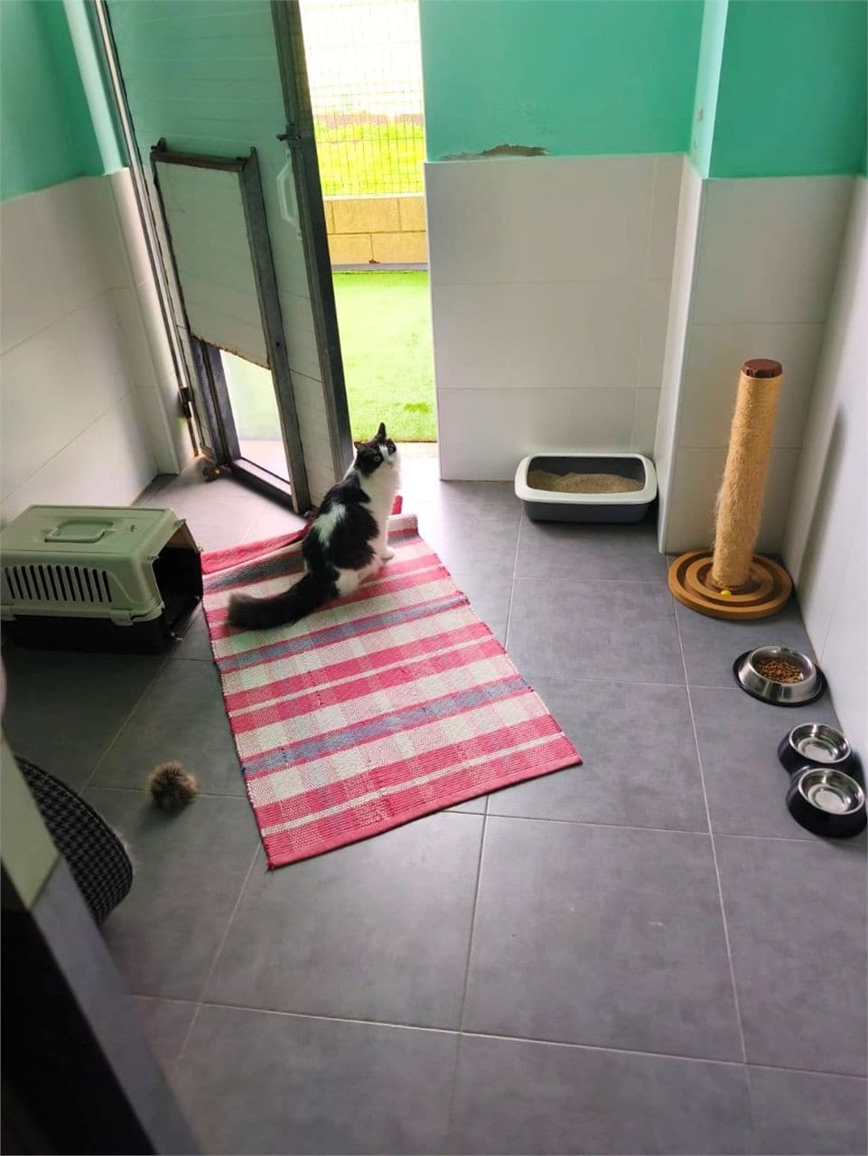 Hotel para mascotas en Brión