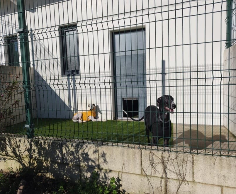 Hotel para mascotas en Brión