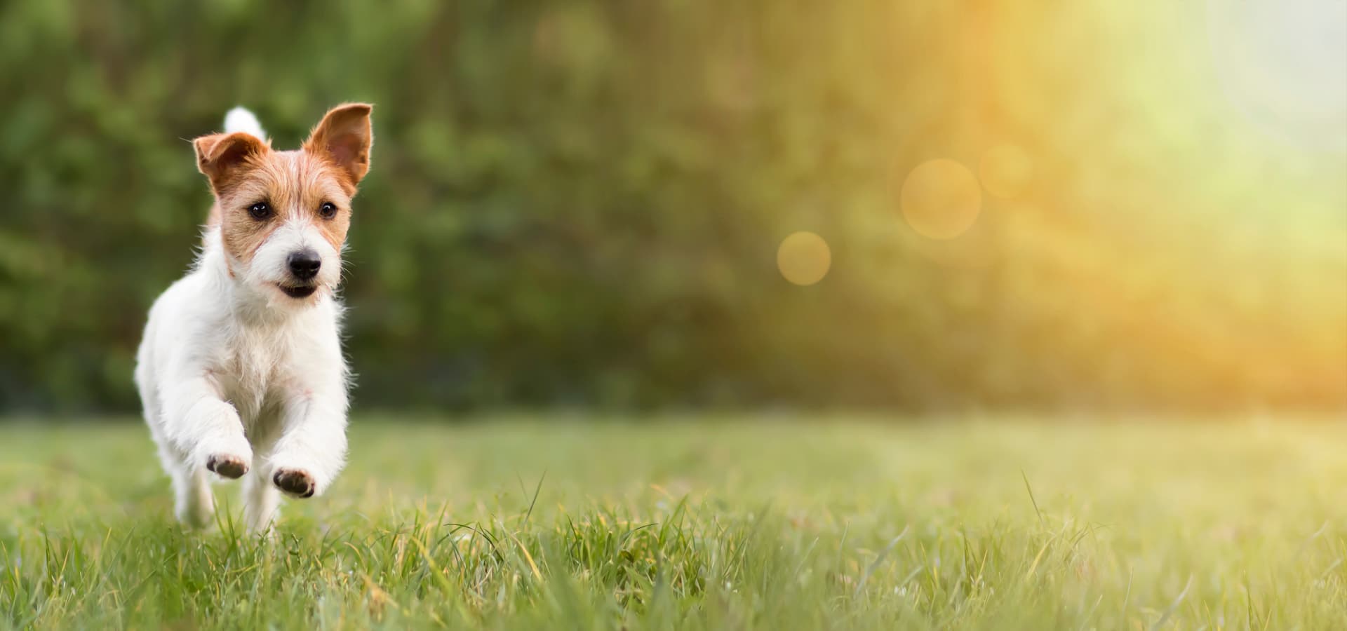 Habitaciones para cortas estancias