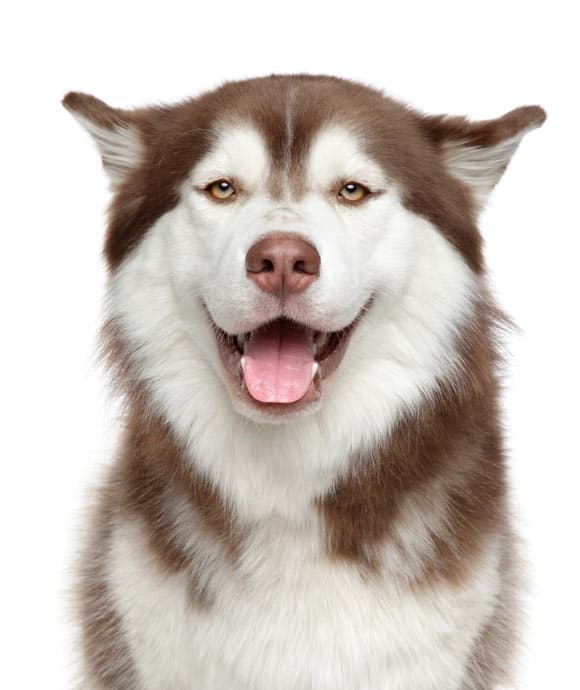 Normas y recomendaciones antes de la estancia