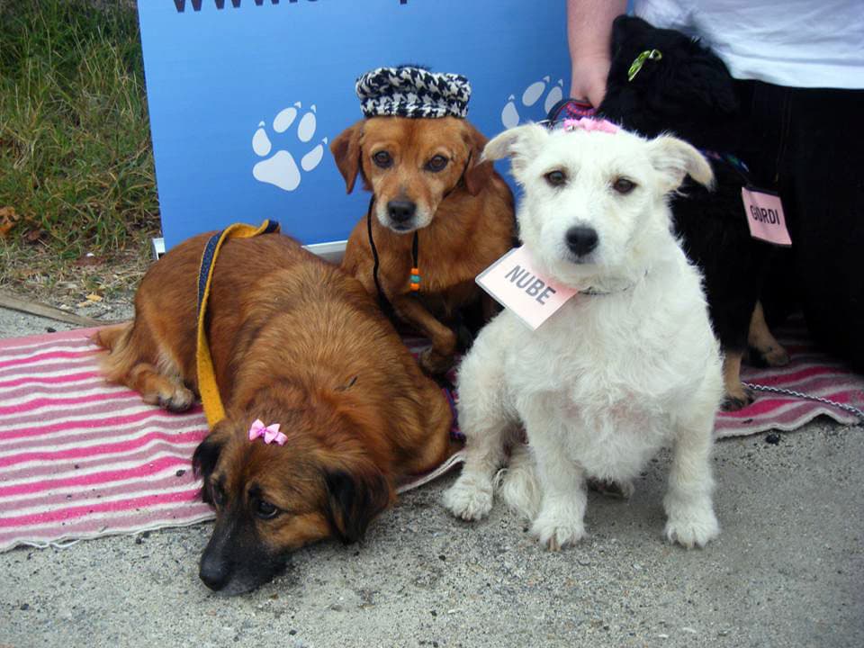 ¡Queremos ser tu hotel de referencia!