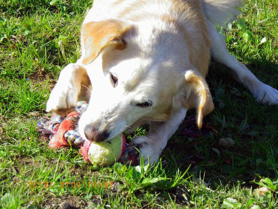 ¿Tienes dudas? ¡Te las resolvemos!