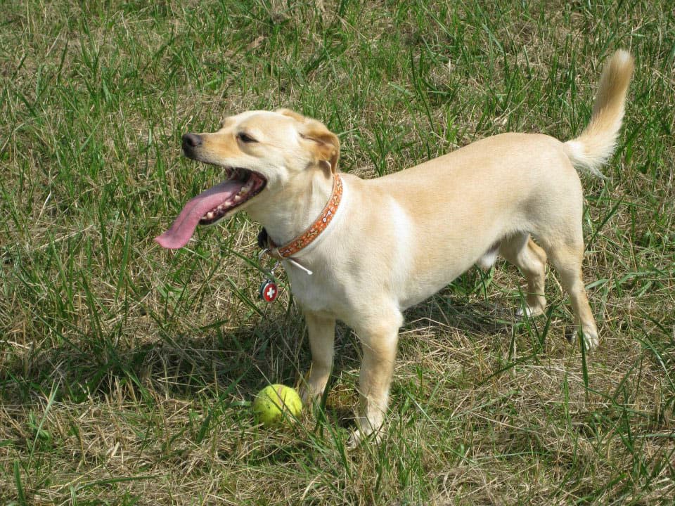 Todo lo que necesitas saber para tu reserva