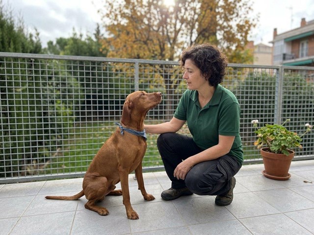 Reserva ya plaza en el hotel canino y felino de Pontevedra