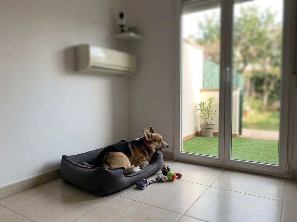 Foto 1 Tu mascota, atendida como en casa: hotel canino y felino en Ferrol